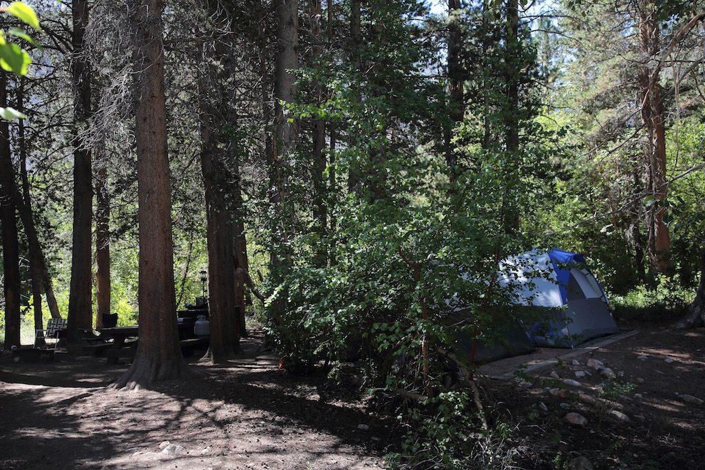Bishop Park Campground Site 6