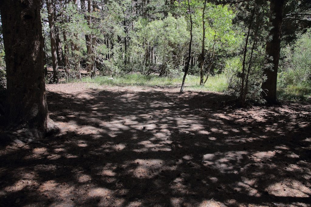 East Fork Site 2