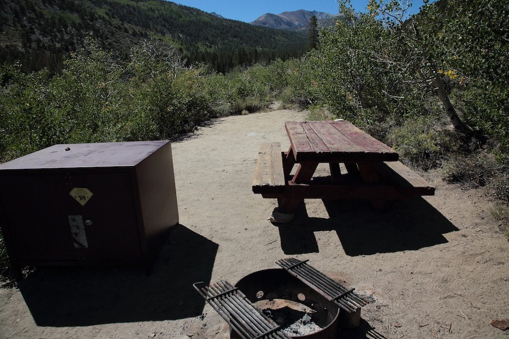 East Fork Site 6