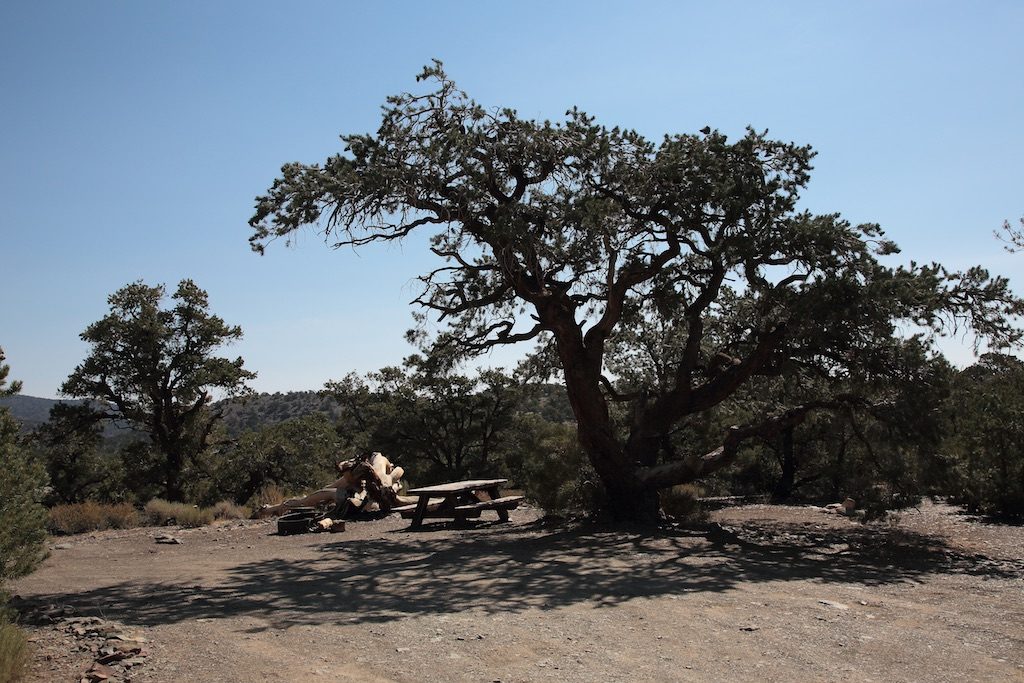 Grandview Campsite 22