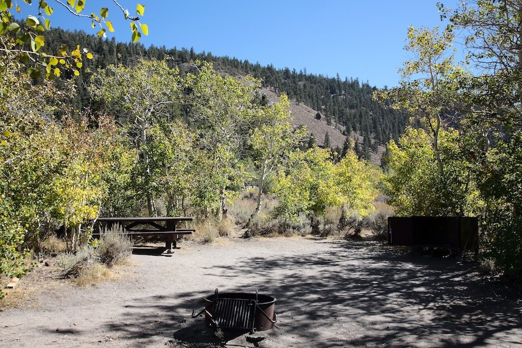 June Lake Campground Site T2
