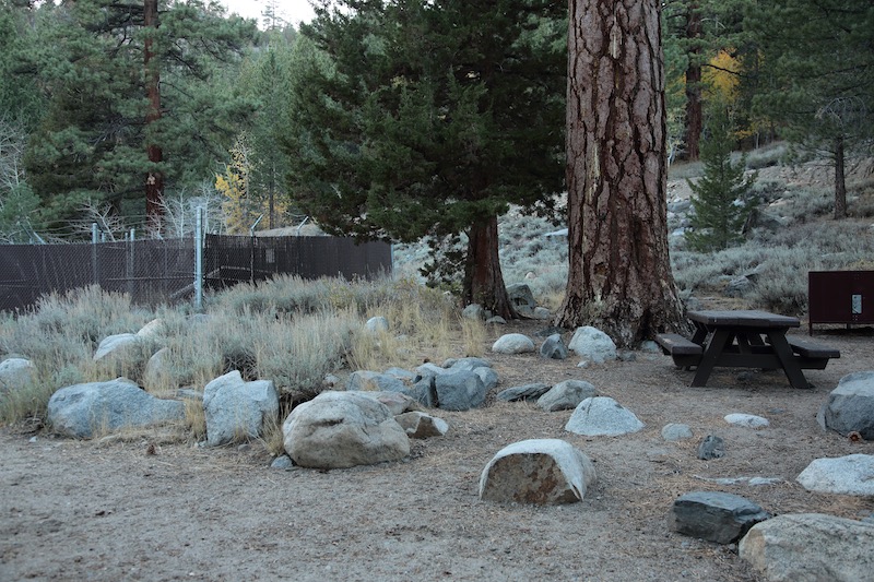 Leavitt Meadows Campground Site 13 Fence