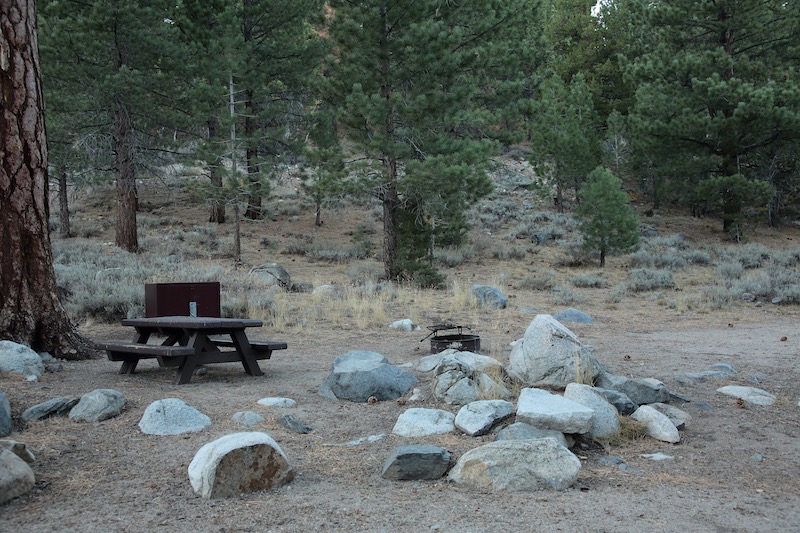 Leavitt Meadows Campground Site 13