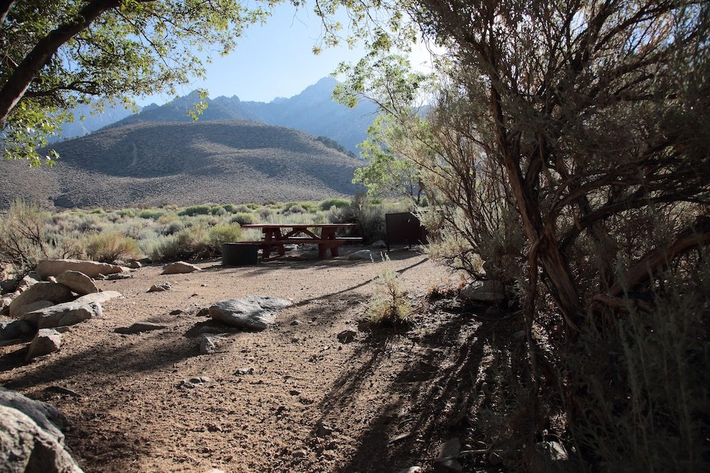 Lower Grays Meadow Campground Campsite 50