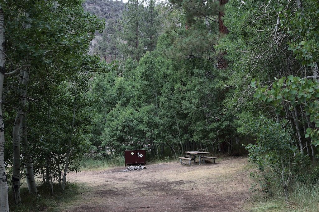 Lower Lee Vining Campsite 1