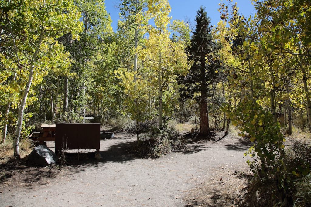 Reversed Creek Site 8