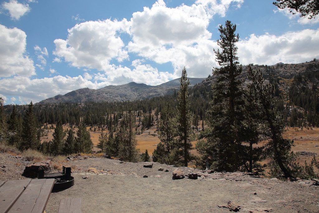 Sawmill Campsite 6