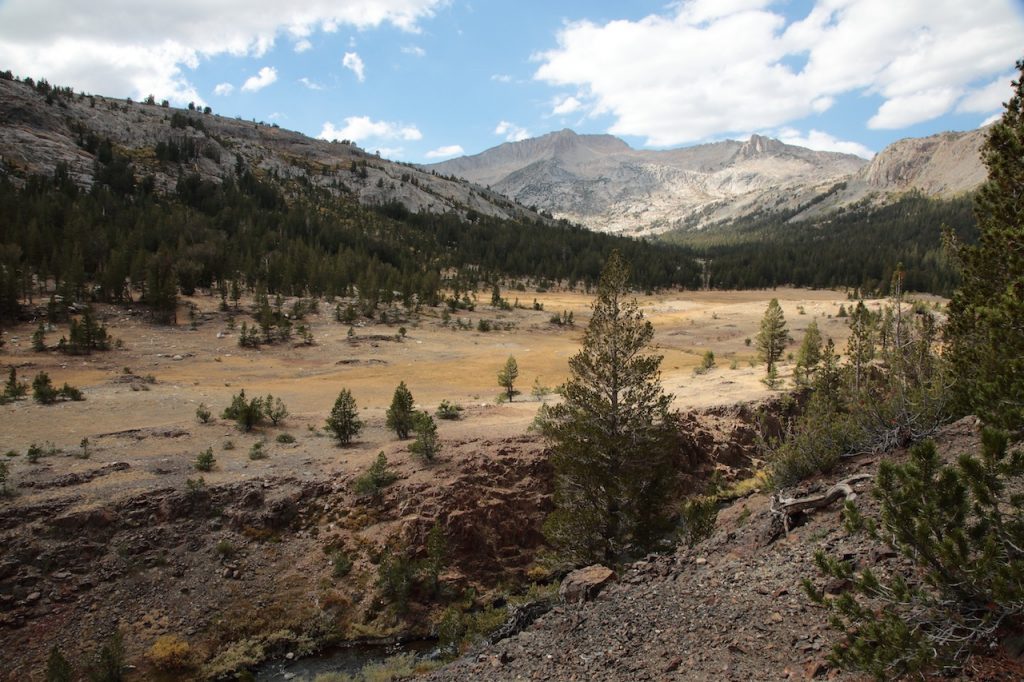 Sawmill Campground View
