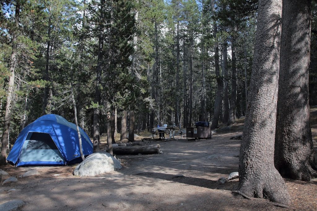 Tuolumne Meadows Site G3